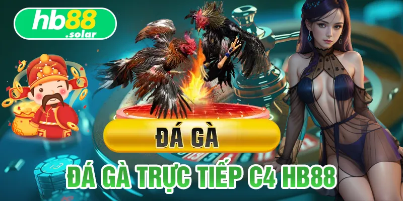 đá gà trực tiếp c4 hb88