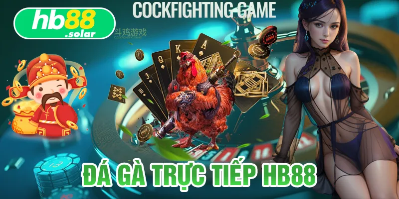 đá gà trực tiếp hb88