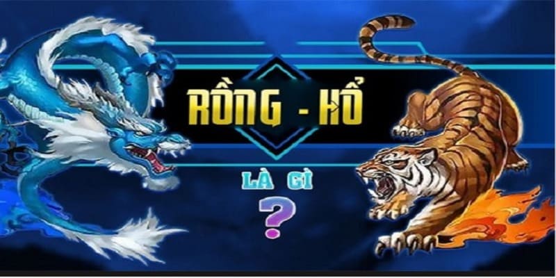 Đôi nét giới thiệu chung về tựa game Rồng Hổ HB88